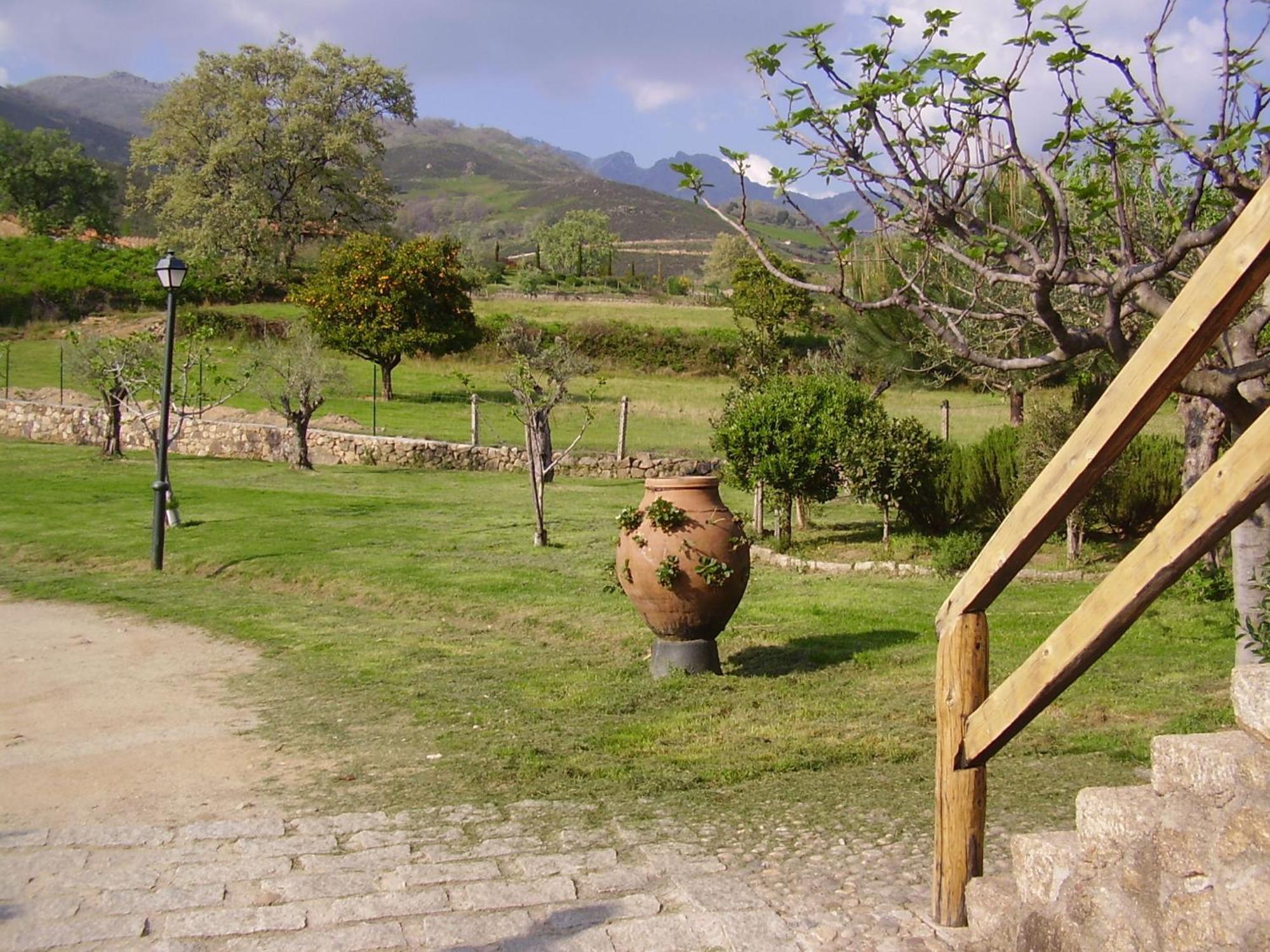 Casa Rural Ropino Vendégház El Raso Kültér fotó